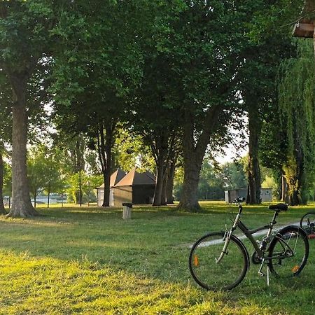 *Gite Aux Grappes Du Pressoir* A 2 Km De Beauval Seigy Dış mekan fotoğraf