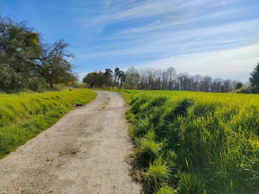 *Gite Aux Grappes Du Pressoir* A 2 Km De Beauval Seigy Dış mekan fotoğraf