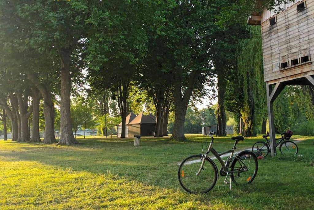 *Gite Aux Grappes Du Pressoir* A 2 Km De Beauval Seigy Dış mekan fotoğraf
